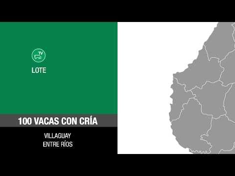 Lote 78b10bf4-a83c-47af-8894-11c81ed932da