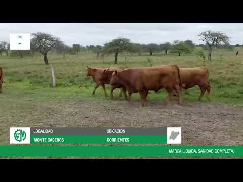Lote 692bbf79-9e8a-4b4e-b443-4b4a176a6b0d