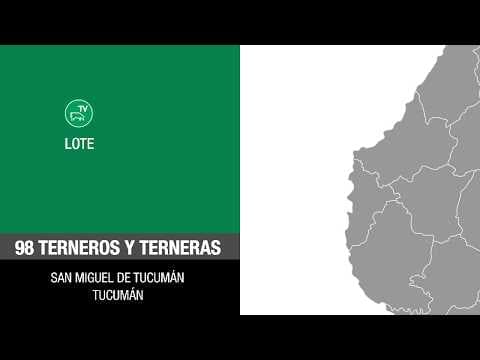 Lote 7ac61a26-77f1-4cc4-be16-acee3e9aacdd