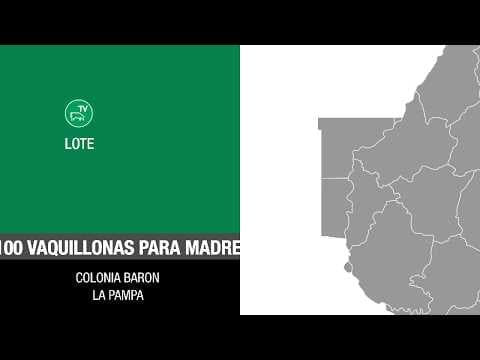 Lote 73d477fc-2bf6-4d8a-bf37-ca11a49478da