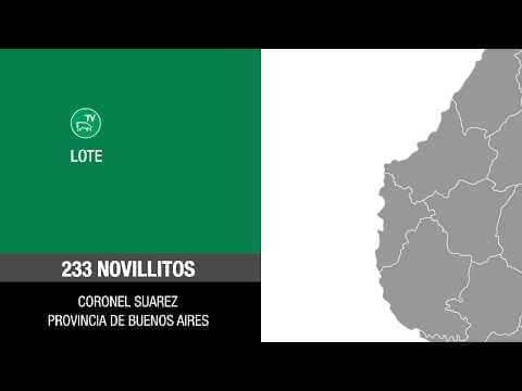 Lote 425c2d97-e50f-456a-955c-59f7bc59c4df