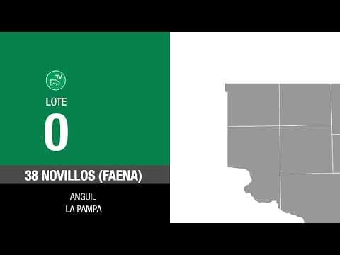 Lote aa379fba-b87f-4fa3-afbc-048277900183