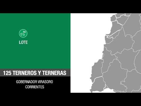 Lote 941ff0a9-77d0-4e02-9554-1147abdc4e53