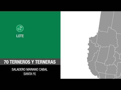 Lote bcb69778-9080-45d2-b22a-e5d6f40b2c66
