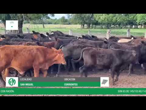 Lote a343774e-0d86-451d-9041-4f2b4a919b87