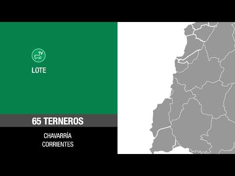 Lote 48ab69c1-e9a8-4611-8e00-96d93a929ecf