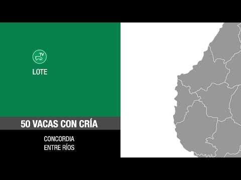 Lote 063afda8-da4f-4b8a-9f8b-293ad5e7bf2d