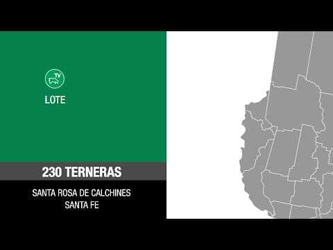 Lote f355454b-e603-4cb4-aa25-afd0c1e43e15