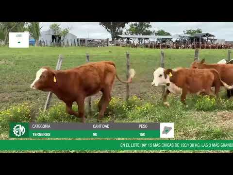 Lote d38421c8-0fe6-4c08-91ce-15addc1b9e30